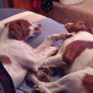 Meet your Posher, Jen